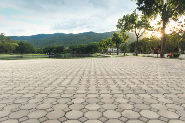 Best Custom Driveway Pavers  in Auburn, WA